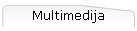 Multimedija
